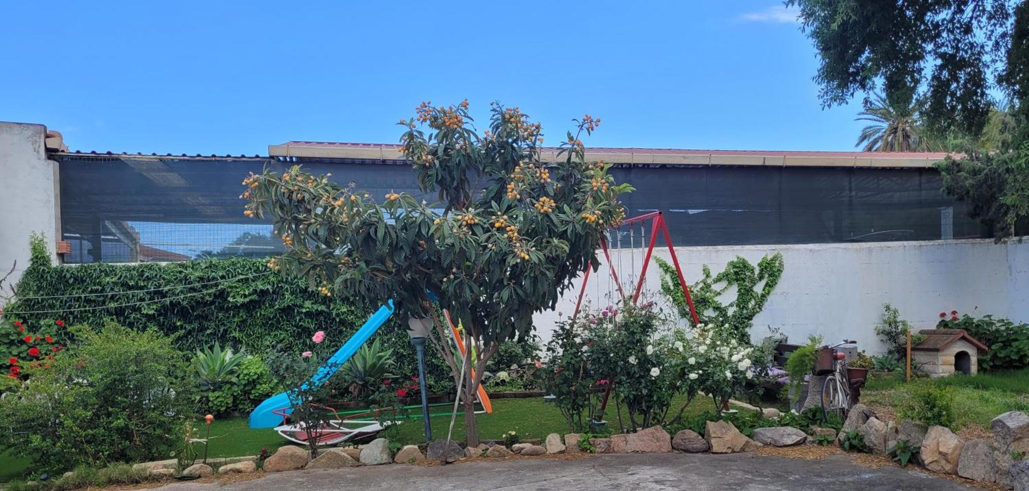 Bed and Breakfast Su Cunventu Muravera Exterior foto