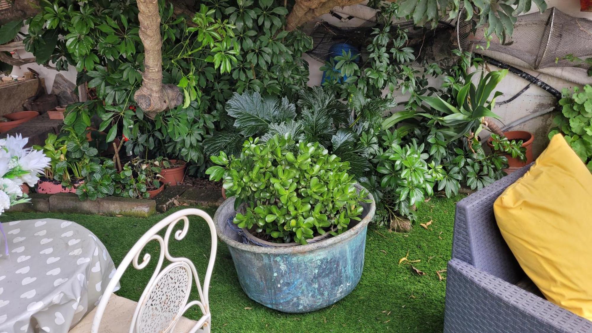 Bed and Breakfast Su Cunventu Muravera Exterior foto